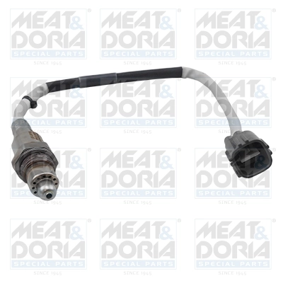 Oxygen Sensor
